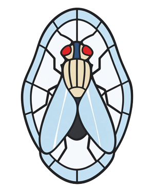 Church of Cheesy Fly