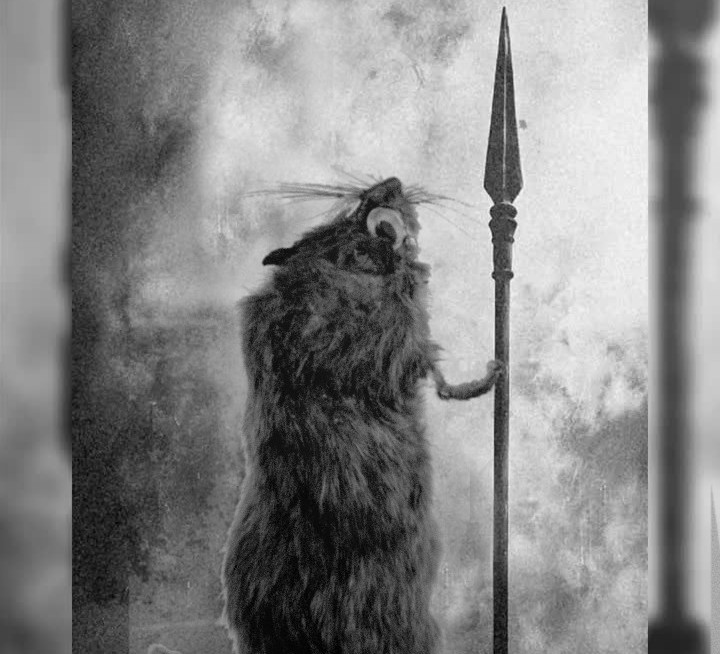 Ratty